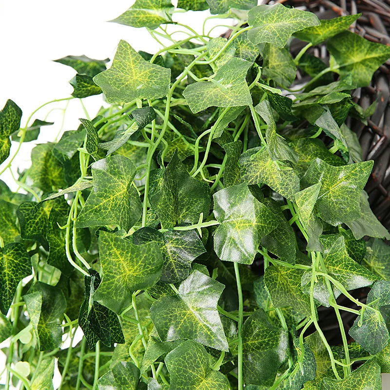 GreenNest Hanging Planters – Indoor Wall Display