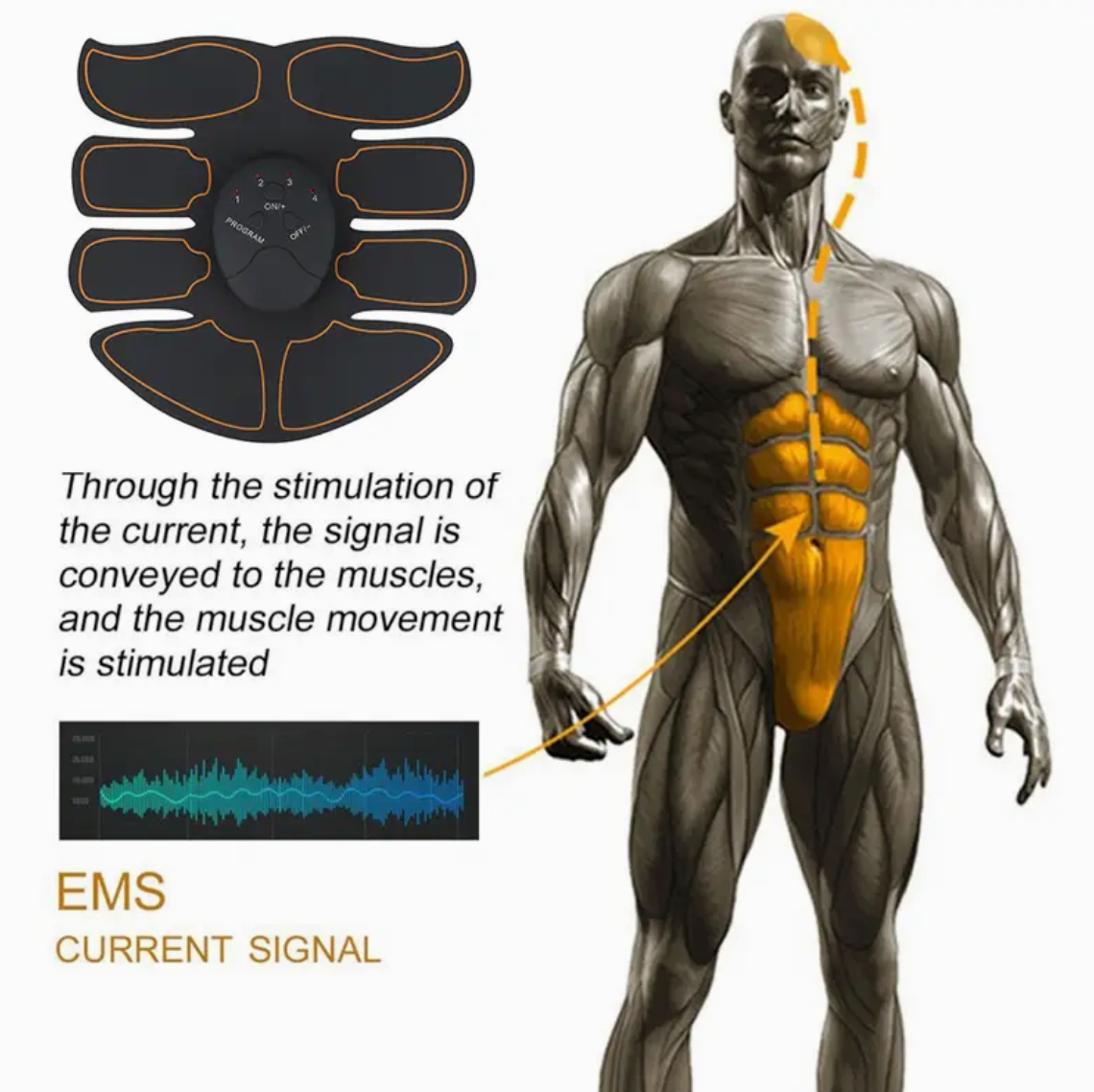 Ab Trainer™️ - EMS – Reinvented Edition