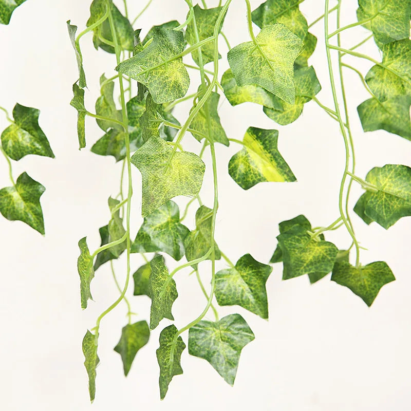 GreenNest Hanging Planters – Indoor Wall Display